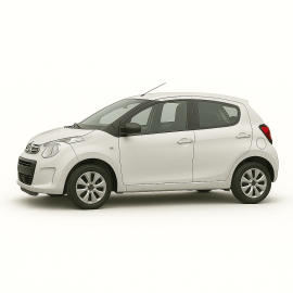 C1 2005–2014 (Mk1, Typ PM/PN)